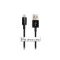 Cable Matters Apple MFi-Certified Lightning to USB Cable - 1m Black (Personal Computers)