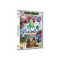 The Sims 3: Seasons - expansion pack (computer game)