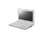 Samsung NC10 Emi Plus 25.7 cm (10.1 inches) Netbook (Intel Atom N450, 1.6GHz, 1GB RAM, 250GB HDD, Intel 3150, Win 7 Starter) white (Personal Computers)