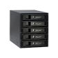 Inter-Tech IPC ML 88887089 Mobile Rack VT-315 drive caddy for SAS / SATA hard disk (5x 8.9 cm (3.5 inch)) black (accessories)