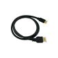 niceeshop (TM) Black 1M Mini HDMI Male To HDMI Male Cable / HDMI Type A to CM / M Cable Digital HD Camcorder Camera (Electronics)