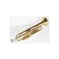 Special offer!  Bb trumpet with golden suitcases.  NEUWARE