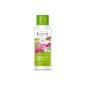 Lavera Hair Care Shampoo Repair Pro, 4-pack (4 x 200 ml) (Health and Beauty)