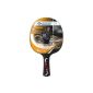 Donic Schildkröt YOUNG CHAMPIONS 200 Table Tennis Racket (Sports)