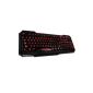New LED Backlight QWERTY keyboard USB Wired Gaming PC lit computer keyboard - Illuminated buttons Red (Electronics)