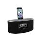 SDI iDL46GE iDL46 Dual Charging Station with Stereo FM alarm clock radio (1x Lightning, 1x USB) for Apple iPhone / iPad / iPod (Electronics)