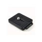 MENGS® PU50 camera quick release plate + buckle made of solid aluminum for 1/4 (Electronics)