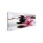Pictures & Prints Prestigeart 2042141a pictures on canvas XXL posters, orchid flowers 120 x 40 cm mural graulila