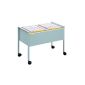 Durable 308210 Eco Suspension file trolleys 100 Duo, gray (household goods)