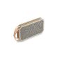 Bang & Olufsen PLAY BeoPlay A2 portable Bluetooth speakers (24 Battery, 15 Watt) gray (Electronics)