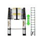 Telescopic aluminum ladder - 12 steps - Height 3.80m - Multifunction Scale (Miscellaneous)