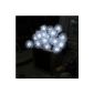 Innoo Tech Solar Lights, waterproof, LED Flower 20 balls, length 3.3M, LED lighting decoration for Easter (White)