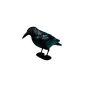 Siena Garden 551 983 Black raven - Taubenschreck - plastic (garden products)