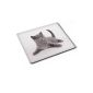 Cats 10005, Grey Cat, Designer Mousepad Pad Mouse Pad Strong anti-slip underside for optimum grip with Vivid Scene Compatible with all mouse types (ball, optical, laser) Ideal for gamers and graphic designers (Electronics)