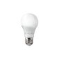 THE A60 LED bulb 7W E27, Radiation Omnidirectional Angle, Equivalent to a bulb 40 W Incandescent, Daylight White