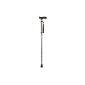 Foldable Walking Cane with Ergonomic Handle (Health and Beauty)