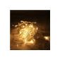 New 10M 100 pieces LED lights LED lights string lights for Christmas weddings birthdays or any celebration Christmas lights (warm white)
