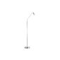 Paul Neuhaus Adjustable LED floor lamp LED Pino 458-55 (household goods)