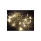 Viva housewares - 20 LED garland - warm white / Battery powered interior with 2 functions!
