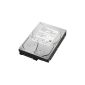 Toshiba 3.5 '' (8.9 cm) SATA Hard Drive HDD Retail Kit internal hard drive 3 TB SATA III 32MB buffer (Accessories)