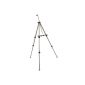 Walimex WE-3030 Basic Easel (incl. Holster) (Accessories)