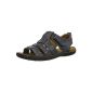 Josef Seibel Paul 06 43206 879 108 Men's Sandals (Shoes)
