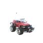 Toyota Monster Truck HOT Cross Country 1:16, remote controlled, perfect for children, with LED light and battery (Toys)