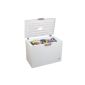 Beko HSA 24530 freezer / A ++ / freezing: 230 liters / energy consumption: 186 kWh / year / door lock (Misc.)