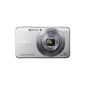 Sony DSC-W630S Cyber-shot Digital Camera (16 Megapixel, 5x opt. Zoom, 6.7 cm (2.7 inch) LCD screen, image stabilized) Sweep Panorama and iAUTO recording silver (Electronics)