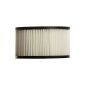 Arebos 4260199750971 Hepa vacuum ash Replacement Filter (Tools & Accessories)