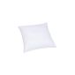 fan Frankenstolz 01225-09625-10 pillows smooth / fan Kansas / 80 x 80 cm (household goods)