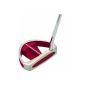 Longridge Golf Putter insert VL4 Silver (Sports)