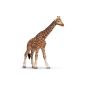Giraffe as from nature