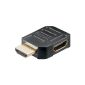 Wentronic 51724 Right Angle HDMI Adapter (HDMI Female to HDMI Male) (Accessories)