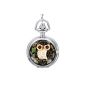 Infinity U luxury green owl with small Arabic numerals and mirror Quartz Pocket Watch, Silver (clock)