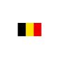 15 STYLES AVAILABLE HERE - Large flag flags National Quality International 150cmx 90cm Polyester sports event banner country decoration Kurtzy team by TM (Belgium) (Kitchen)