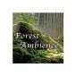 Forest Ambience - Healing Nature Sounds for Relaxation, Massage Therapy, Reiki and Sleep (MP3 Download)