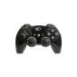 Wireless Controller for PS3 (Video Game)