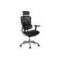 HJH OFFICE 652 630 office chair / executive chair Ergohuman seat fabric / back mesh black (household goods)