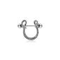 Nipple piercing Nipple Piercing Jewelry Intimate Jewelry NEW !!  (Misc.)