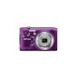 Nikon Coolpix S2900 Digital Camera (20 Megapixel, 5x opt. Zoom, 6.7 cm (2.6 inch) display, HD video, Scene Auto Selector, Panorama assist) purple ornament (Electronics)