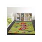 Carpets for Kids Adorable Owl in Green Orange Pink, Size: 120x170 cm