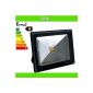 LEDVero® 1x 50W LED Spot Projectors - black - Warm White (Garden)