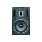 Behringer TRUTH B3031A Active Studio Monitor high resolution 2-way 115 Watts (Electronics)