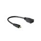DELOCK Adapter Cable Micro HDMI D St> HDMI A Bu mi (Electronics)