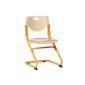 Kettler 06725-100 Plus Chair orange / Beech (household goods)