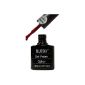 Bluesky Bottle Nail Gel Semi Permanent UV / TC08 Changing LED Rose Brown 10 ml (Personal Care)