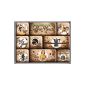 Nostalgic Style 83058 Coffee and Chocolate House, Magnet Set, 9-piece (household goods)