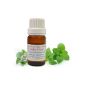EOBBD Essential Oil 10ML of PEPPERMINT (Mentha piperita) (Kitchen)