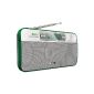 Philips AE9011 / 02 Portable 90elf football digital radio with DAB + / DAB, 20 preset stations (white / gray / green) (Electronics)